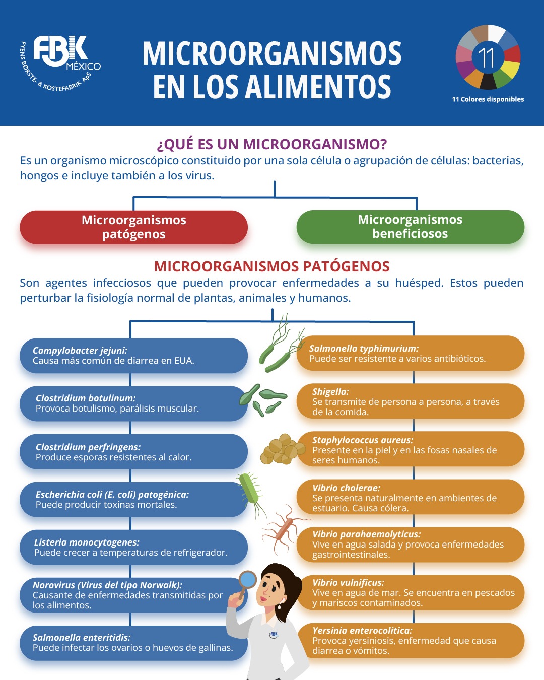 Uso De Microorganismos En Los Alimentos - Image to u